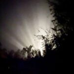 A unknown light source in the dark, shining out above some trees
