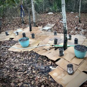 Recycling in the Garden using shipping boxes as a barrier, and old vodka bottles for planters