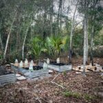 An alternative view of the planting area.