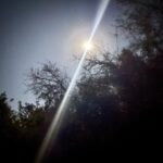 A picture of the Full Moon from my property, the moon has created a lense flare on the image taken