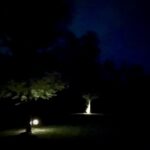 April 2026 - Yard Photo