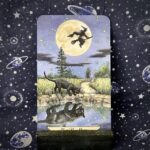 The tarot card the Moon