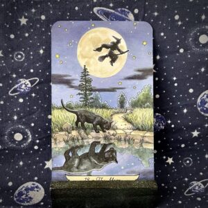 The tarot card the Moon