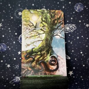 The tarot card The World